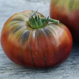 Tomate Noire de Crimée