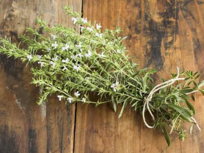 Sarriette de Grèce (Throubi)